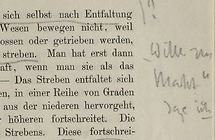 La bibliothèque de Nietzsche. Édition numérique et commentaire philosophique (ANR-DFG)