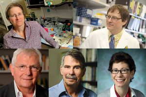 Five from Johns Hopkins elected to American Academy of Arts and Sciences