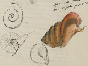 Journée d&rsquo;études « Valéry et la vie des formes »