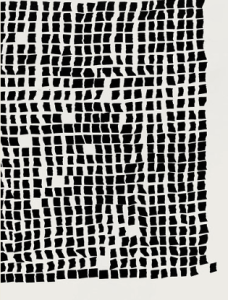 MICHEL BOUSQUET (photographe), "Ateliers cumulés / ateliers élargi (titre provisoire) "