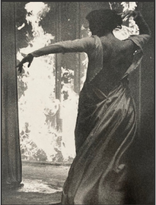 ANNE LEFEBVRE (photographe et artiste plasticienne) : « Atelier de reconstitution génétique de "La Doneux", œuvre de l'artiste »